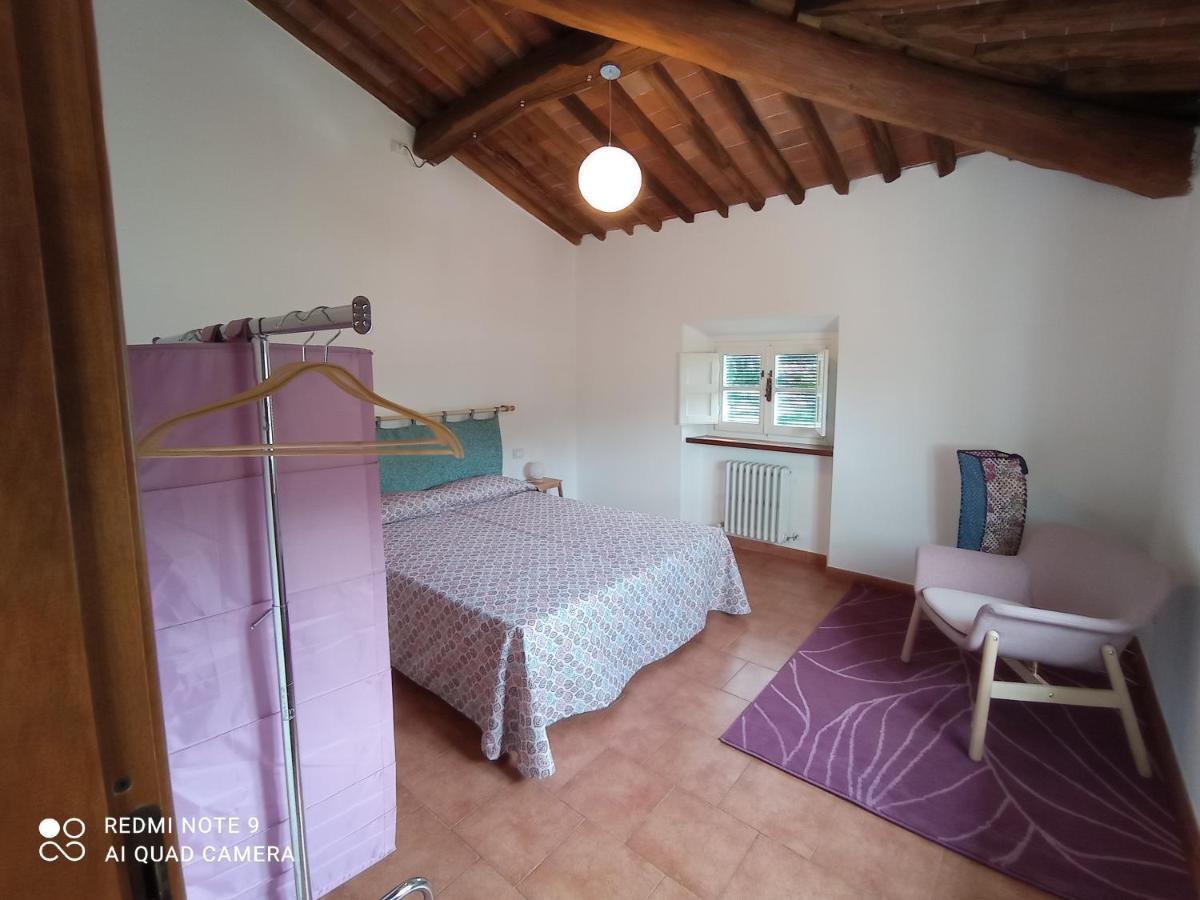 La Terrazza Del Vecchio Mulino Apartment Sant'Andrea di Compito Ngoại thất bức ảnh